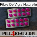 Natural Vigra Pill 10